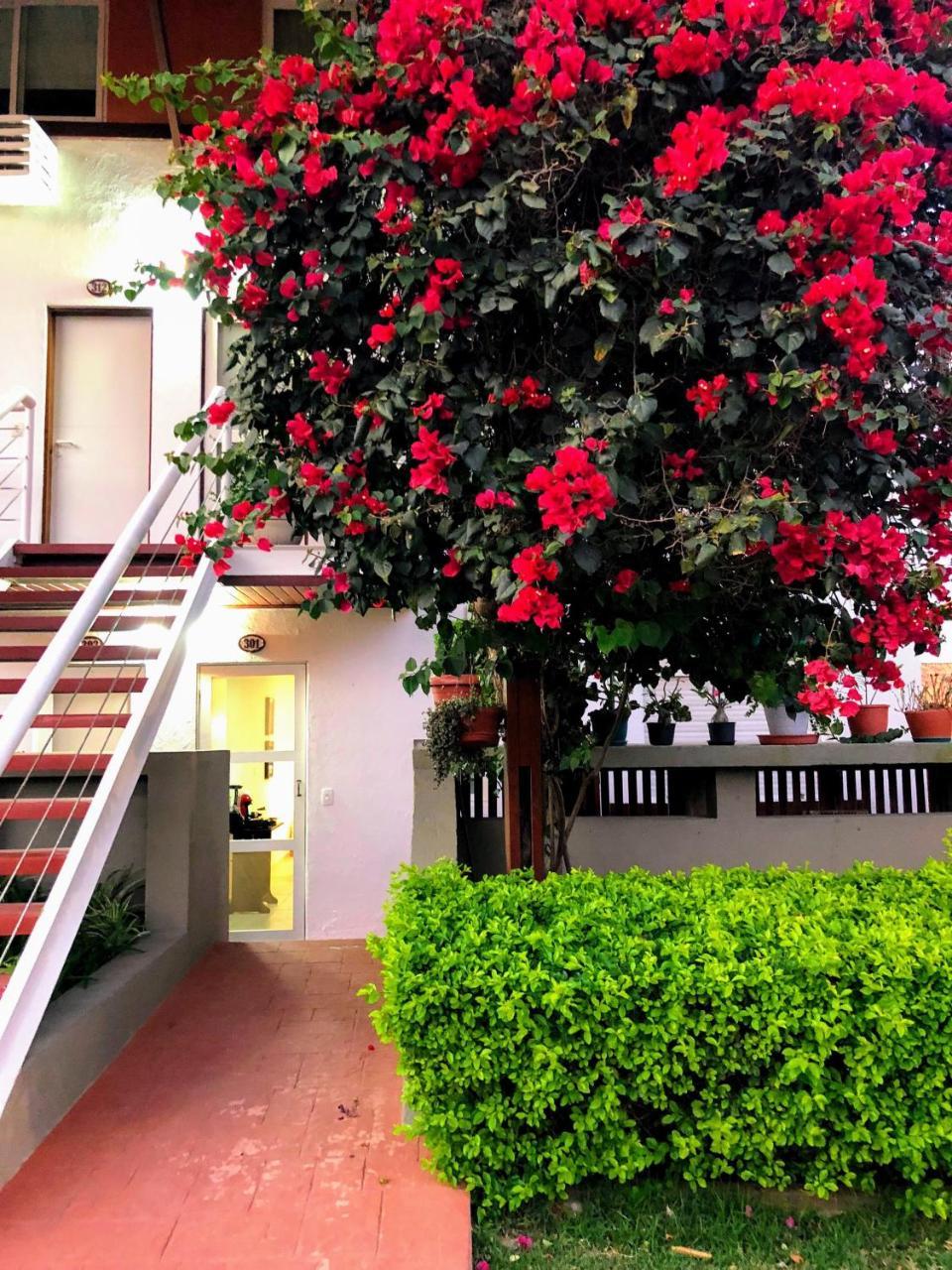 Flat 301 Condominio Villa Hipica - Gravata, Pe Exteriör bild